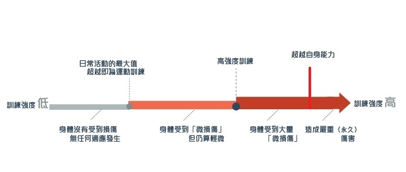 vsport体育 svg+xml,%3Csvg%20xmlns=&